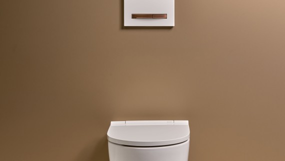 Wall-hung WC ceramic appliance from the Geberit ONE bathroom series (© Geberit) Wall-hung WC ceramic appliance from the Geberit ONE bathroom series (© Geberit)
