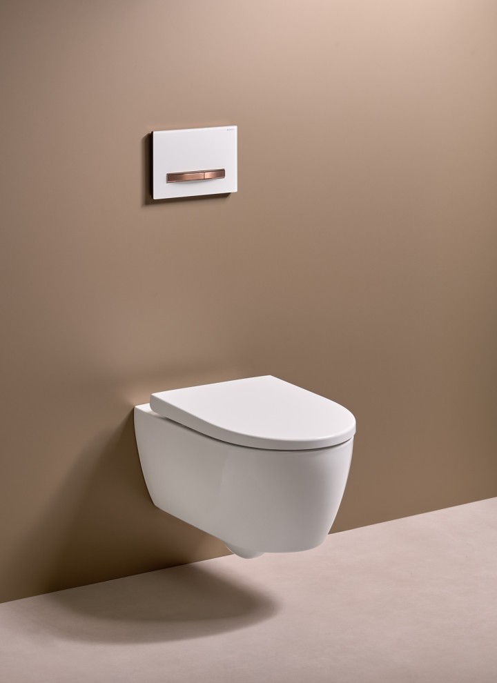 Geberit actuator plate used to trigger the toilet flush